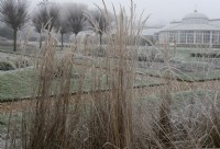 Frosted grasses in the Italian Garden at Chiswick House and Gardens.