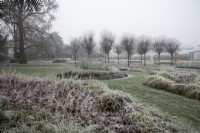 Frosted plants in beds and Robinia pseudoacacia 'Umbraculifera' in front of the Conservatory in the Italian Garden at Chiswick House and Gardens.