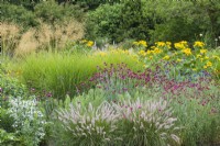 Herbaceous island bed with Pennisetum orientale - oriental fountain grass, Dianthus carthusianorum, Eryngium giganteum, Echinops ritro - globethistle and Inula magnifica. June