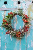 Rustic wreath decorated with Pyracantha berries, Rosemary, wax flowers and evergreen foliage hanging against painted blue rustic background