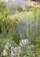 Colourful perennial bed, summer June