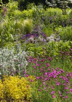 Colorful perennial garden, summer June