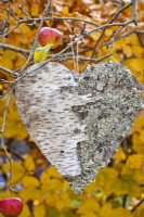 Birch and lichens heart hanging from tree.