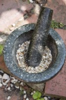 Homemade fertiliser made from baked egg shells, mussel shells and banana skins