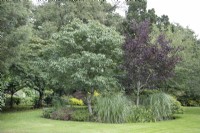 Mixed shrub bed at The Burrows Gardens, Derbyshire, in August