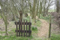 Entrance wooden fence. Path between large variety of snowdrops in woodland.