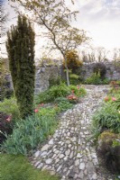 Curving cobbled path between borders in an April garden