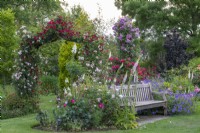 On left, an arch is covered on Rosa 'Chevy Chase' and Rosa 'Open Arms'. On right, a bench is engulfed in hardy geranium 'Rozanne' and foxgloves. Behind on obelisk, Rosa 'Mannington Mauve Rambler'.