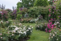 Climbing and rambling roses are trained up pergolas and obelisks, whilst shrub roses fill the borders in the gardens of Peter Beales Roses.