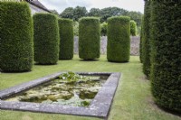 View over formal rectangular stone edged pond to series of tall Yew cylinders which have not yet been cut. July. Summer. 