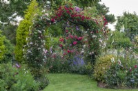 An arch is covered on Rosa 'Chevy Chase' and Rosa 'Open Arms'. Beyond, on obelisk, Rosa 'Wymondham Abbey'.