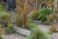 A salvaged galvanised water trough is converted into a water feature, and planted with irises and rushes. Clumps of ornamental grass grow in the gravel.