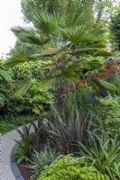 A central bed is planted with the palm Trachycarpus wagnerianus, box, phormiums, eucomis and crocosmia.