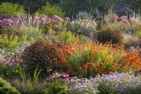 View of mixed summer border in the summer garden at Bressingham Gardens in August. 