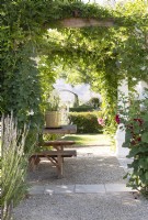 Wisteria-covered pergola 