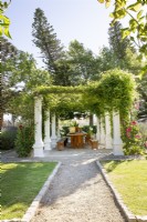 Wisteria-covered pergola framed by hollyhocks