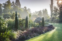 Thuja occidentalis Degroot's Spire and Sedum telephium Atropurpureum Group 'Xenox' in mixed bed, September. 