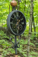 Weathervane clock in forest of deciduous trees in backyard garden in spring