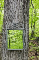 Framed mirror installed on Acer - Maple tree trunk in backyard garden in spring
