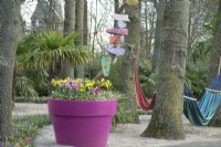 Container filled with Tulips and Daffodils and colourful nameplates on branch. Hammocks hanging in the trees.
