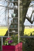 Decoration with kettles and teacups with view at Daffodils field.