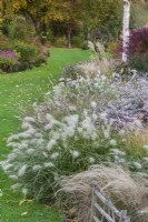 Border of ornamental grasses and asters at John Massey's garden in October.