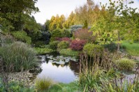 Pond at John Massey's garden in October.