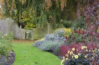 Colourful planting including ornamental grasses and late herbaceous perennials in Adam's Garden at John Massey's garden in October.