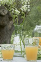 Glasses with fruit juice and vase with cow parsley.