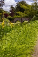View to the main bridge over the 12th century moat. Plants include the foliage and buds of Hemerocallis (day lilies) in the foreground, and yellow flag Iris pseudocarus.