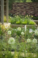 Herbaceous beds planted with  white alliums, astrantias,  geums and ornamental grasses. in front of pavillion  - Stitchers Sanctuary Garden
