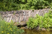 Overgrown dry stonewall over pond
 - A rewilding Britain Landscape .Gold Medal and Best in Show  