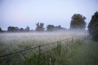 Early morning mist over a meadow. Metal railing fence. Grasses. Summer.