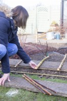 Woman laying birch sticks to be used as main posts along the edge of the border