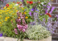 Colorful annual mix in stone trough, summer July
