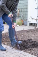 Woman digging a hole for the apple tree to be planted in
