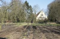 Overview no-dig garden. Man dividing the heaps of soil in the no-dig garden with rake.