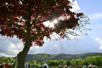 Area of Three Counties Showground with the backdrop of the Malvern Hills during RHS Malvern Spring Festival 2023. May
