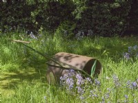 Vintage garden roller alongside a naturalised bed of bluebells