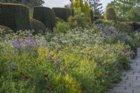 View of a mixed border in an informal country cottage garden in Summer - May