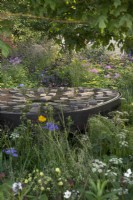 View of the interactive wheelchair friendly water feature with casting mould details based on the Sheffield cutlery industry. Surrounding plants include Thalictrum Black Stockings - meadow rue Black Stockings and Iris sibirica Silver Edge - Siberian iris Silver Edge.

Horatio's Garden at RHS Chelsea Flower Show 2023.

Design: Harris Bugg Studio