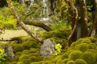 Clumps of moss around a waterfall in The Biophilic Garden Otsu - Hannare designed by Kazuyuki Ishihara