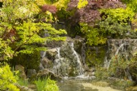 Different varieties of Acer trees around a waterfall in The Biophilic Garden Otsu - Hannare designed by Kazuyuki Ishihara