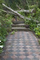 Tiled path leading to stone steps, piles of bricks and fallen Betula pendula - Silver birch trees in a ruined garden taken over by nature.
Plants include: Angelica archangelica, Centaurea scabios - Greater knapweed and Symphytum officinale - common comfrey.

The Centrepoint Garden at RHS Chelsea Flower Show 2023

Design: Cleve West