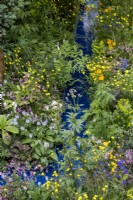 Wild flowers including: Valeriana officinalis, Ranunculus acris and Lychnis flos-cuculi growing by the water. The RSPCA Garden, Designer: Martyn Wilson.