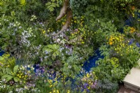 Wild flowers including: Valeriana officinalis, Ranunculus acris, Geranium pratense, Lychnis and Lychnis flos-cuculi growing by the water. The RSPCA Garden, Designer: Martyn Wilson.