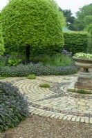 Viburnum tinus tree clipped to shape in bed of perennials bordered by Purple Sage - Salvia officinalis 'Purpurascens' - with ornamental circle of brick and stone construction and planted urn - Open Gardens Day, Waldringfield, Suffolk