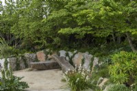 In a quiet, sunken corner, a sculptural wooden bench rests beneath the canopy of a small-leaved elm, Ulmus minor 'Jacqueline Hillier'.