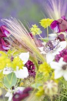 Bouquet of flowers containing Nigella hispanica white, Nigella damascena seed pods, Centaurea 'Black Ball', Bupleurum griffithii - Hare's Ear, Hordeum jubatum - Foxtail Barley and Lathyrus 'Beaujolais'