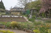 Allotment Garden at Barnsdale Gardens, April